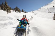 Alpbachtaler Lauser Sauser - Außerdem macht eine Fahrt mit dem Alpine Coaster Lauser Sauser auch im Winter eine Menge Spaß. • © Ski Juwel Alpbachtal Wildschönau