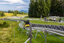 Los geht die Fahrt mit Timoks Alpine Coaster! • © skiwelt.de - Silke Schön
