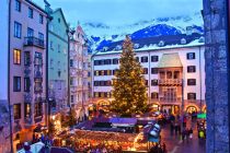 Beeindruckt und bezaubert die Besucher beim Christkindlmarkt vor dem Goldenen Dachl: der fast 20 Meter hohe Christbaum. • © Innsbruck Tourismus, Christof Lackner