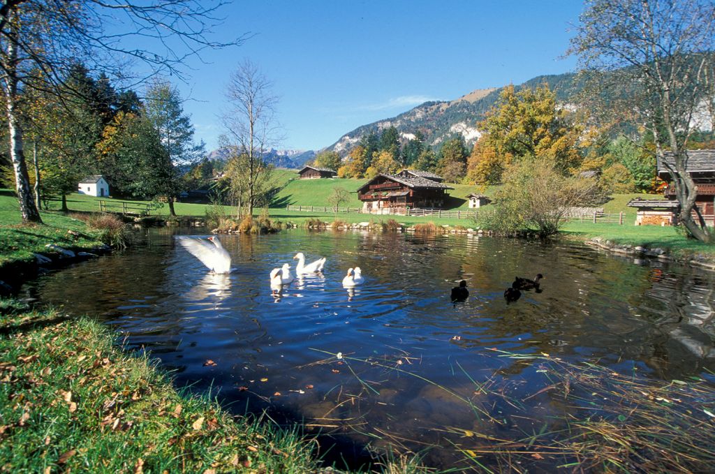 Wilde Tiere ;-)  - Gänse und Enten findest Du natürlich im Wasser. - © Museum Tiroler Bauernhöfe