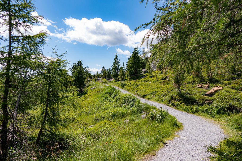 Schön gelegen - Der schön angelegte Weg ist breit genug für einen Kinderwagen und leicht zu begehen. - © alpintreff.de - Silke Schön Schön gelegen - Der schön angelegte Weg ist breit genug für einen Kinderwagen und leicht zu begehen. - © alpintreff.de - Silke Schön