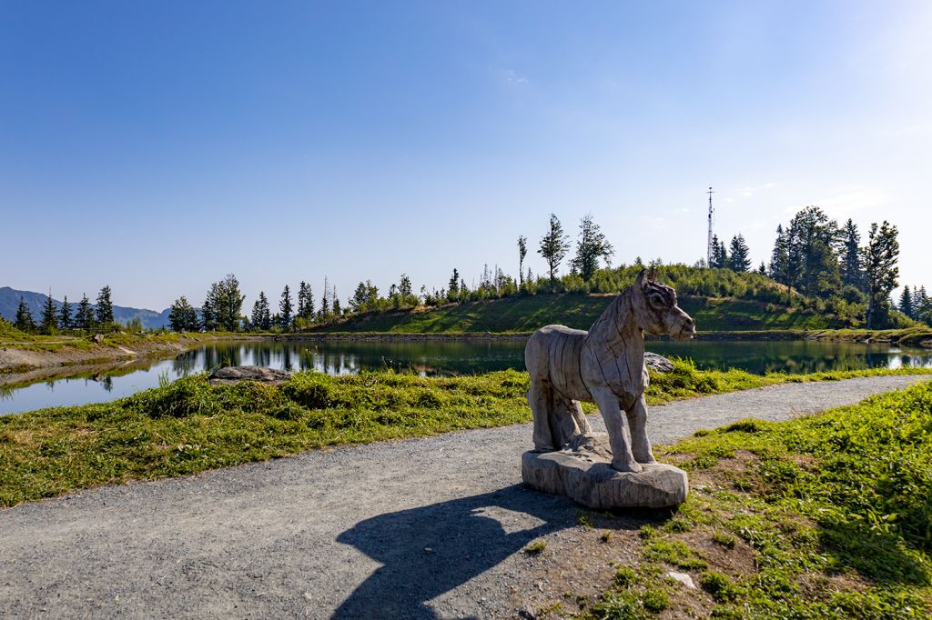 Neben der Astberg Pony Alm - Der Astbergsee liegt in Going am Wilden Kaiser. Er liegt neben der Astberg Pony Alm, wo Du Dein Kind auf Shettys reiten lassen kannst. - © alpintreff.de - Silke Schön