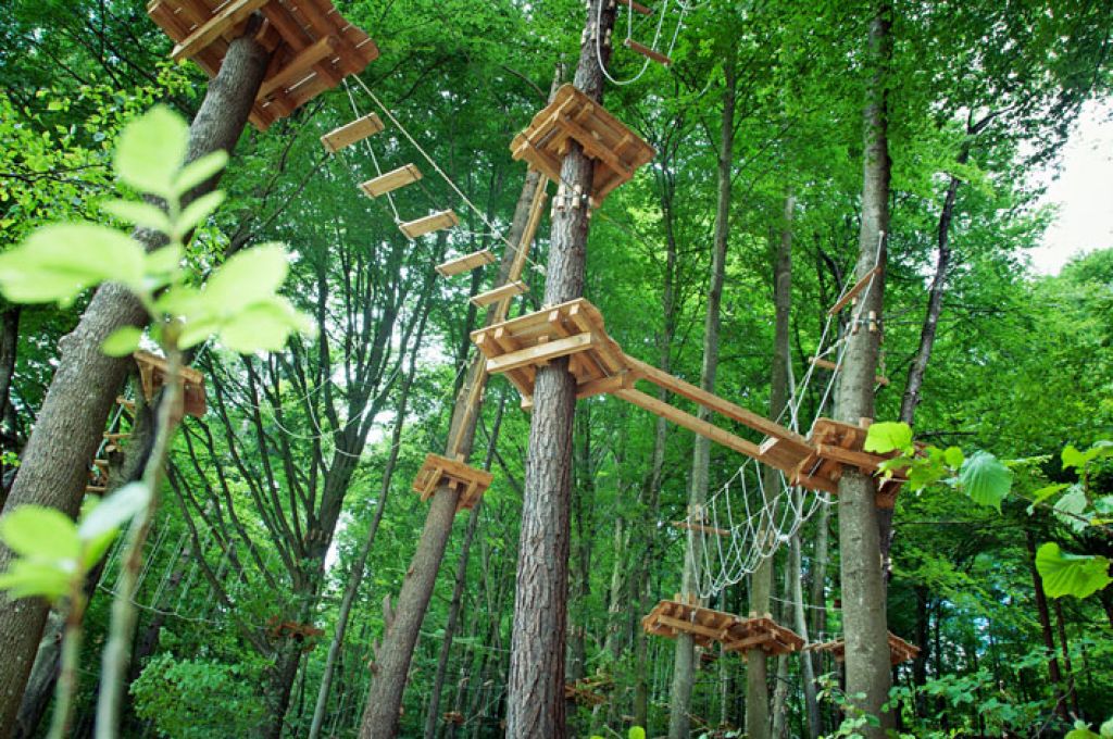 Kletterwald - Über 100 Übungen in unterschiedlichen Schwierigkeitsgraden findest Du im Kletterwald. - © kletterwald.at Kletterwald - Über 100 Übungen in unterschiedlichen Schwierigkeitsgraden findest Du im Kletterwald. - © kletterwald.at