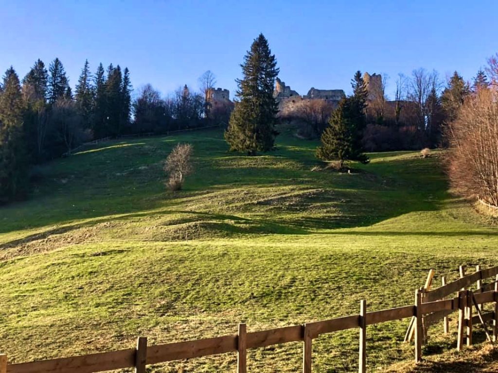 Der Weg zur Burg - So sieht es unterhalb der Burg aus. - © Renate Carré