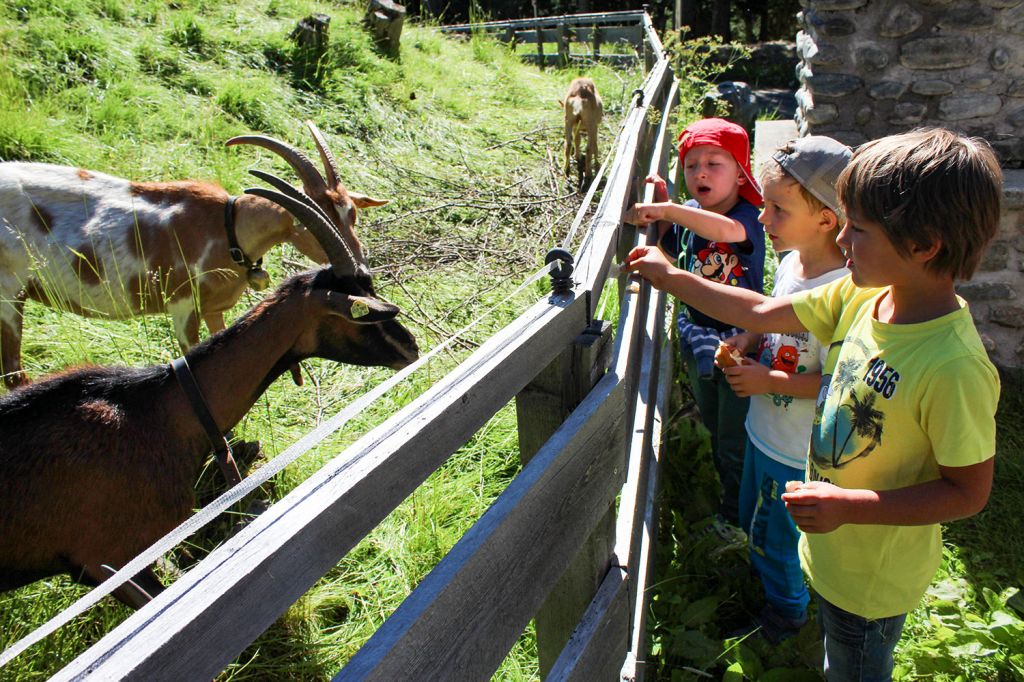Sunny Mountain Erlebnispark - Kappl - Der Streichelzoo mit Pferden, Schafen und Eseln ist bei Kindern äußerst beliebt. - © TVB Paznaun-Ischgl