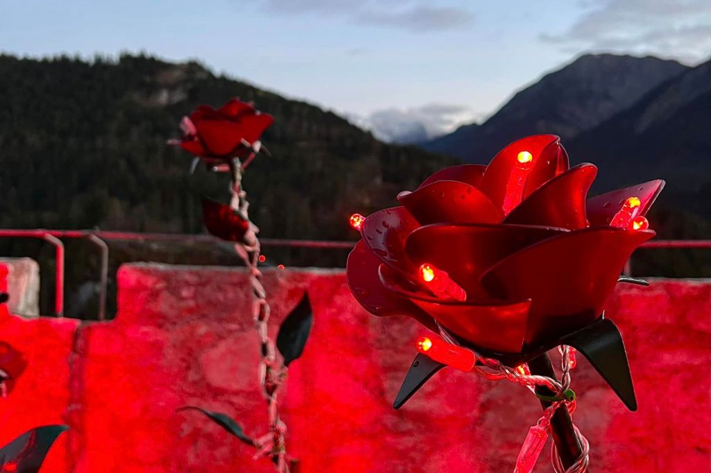 Burg Ehrenberg Lumagica - Wunderschöne Licht-Rosen. - © Renate Carre / allgaeu_origini auf Instagram