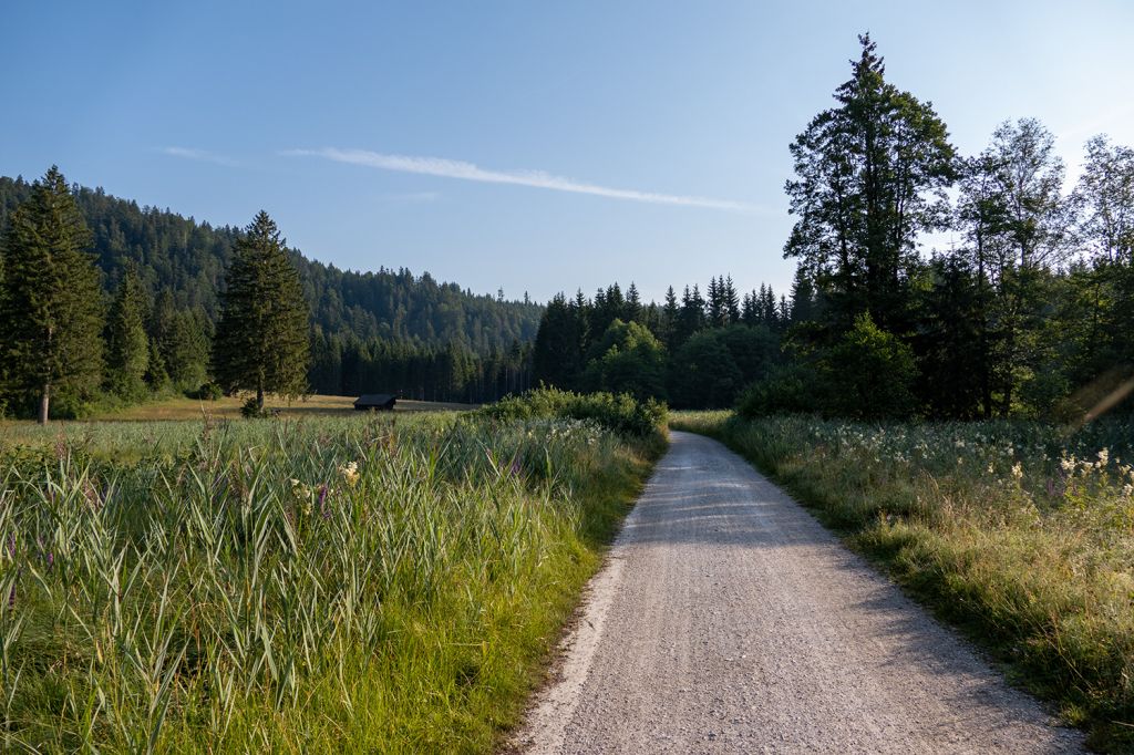 Barmsee - Der Weg entfernt sich dann ein wenig vom See und führt nach rechts in den Wald hinein. Eine abwechslungsreiche Runde. - © alpintreff.de / christian Schön