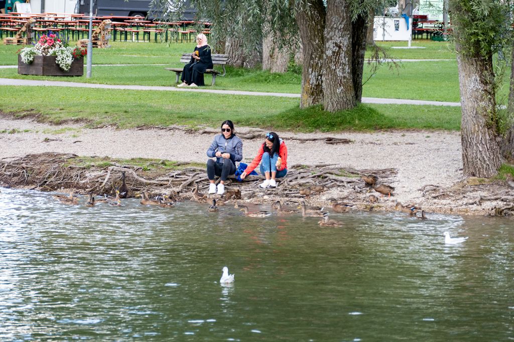 Chiemsee - Weil wir es sofort beobachten konnten: Enten und andere Vögel sind Wildtiere. Bitte haltet euch dran und füttert sie nicht! - © alpintreff.de / christian Schön