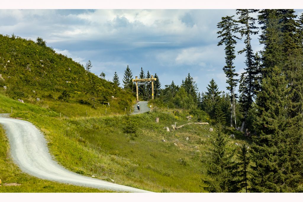 Einstieg - Und hier ist der Start des Schweinestberg-Trails. Der Trail ist für Anfänger und Fortgeschrittene geeignet. - © alpintreff.de - Silke Schön