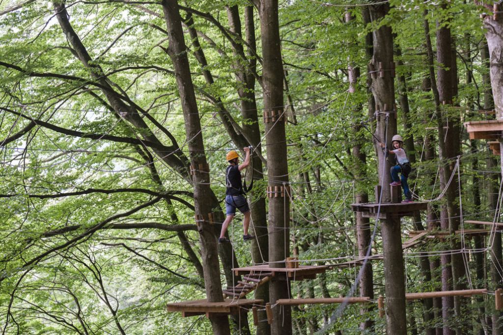 Kletterwald - Impressionen aus dem Kletterwald. - © kletterwald.at