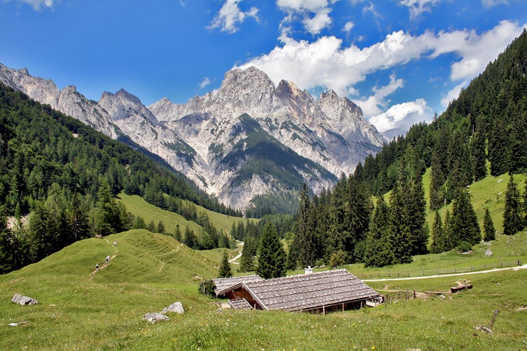 Nationalpark Berchtesgaden - Alpines Gelände und heimische Wiesen mit artenreicher Flora und Fauna. - © Nationalpark Berchtesgaden Nationalpark Berchtesgaden - Alpines Gelände und heimische Wiesen mit artenreicher Flora und Fauna. - © Nationalpark Berchtesgaden