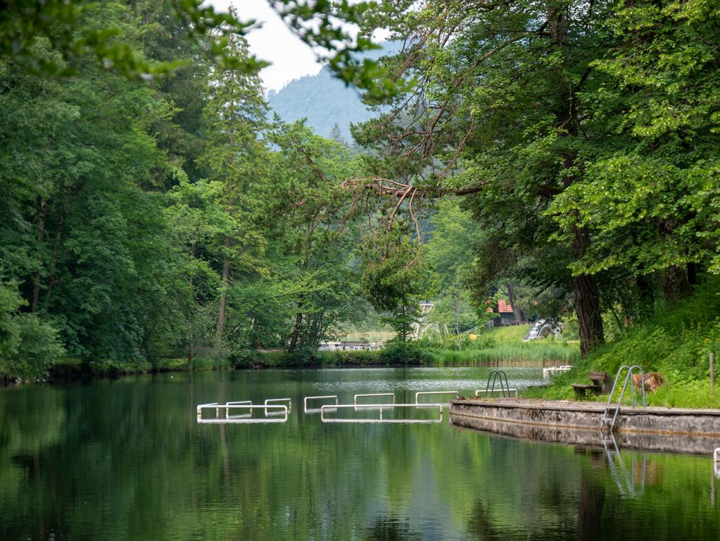 Schattiger See mit ehemaligem Freibad - Der Mittersee ist ein guter Ort für die heißen Tage. Dank üppiger Bewaldung ist es recht kühl und dunkel dort. - © alpintreff.de / christian Schön Schattiger See mit ehemaligem Freibad - Der Mittersee ist ein guter Ort für die heißen Tage. Dank üppiger Bewaldung ist es recht kühl und dunkel dort. - © alpintreff.de / christian Schön