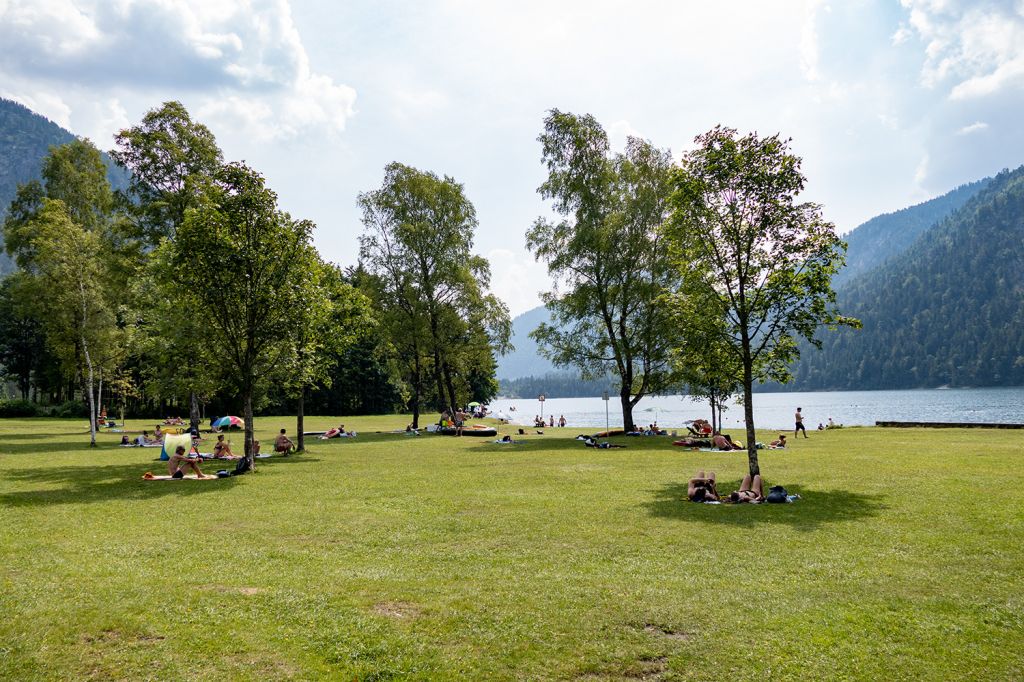 Plansee - Liegewiese - Am Ostufer des Plansees ist eine große Liegewiese. Außerdem ein Hotel und ein Campingplatz. - © alpintreff.de / christian Schön