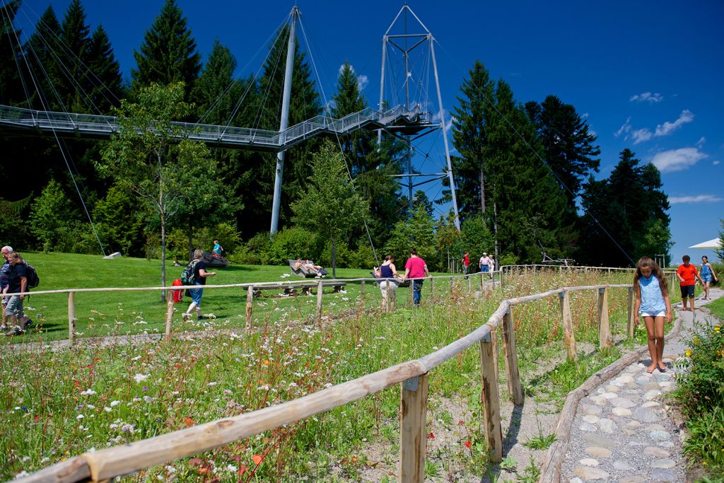 skywalk allgäu - Von unten sieht das dann so aus.  - © skywalk allgäu gemeinnützige GmbH 