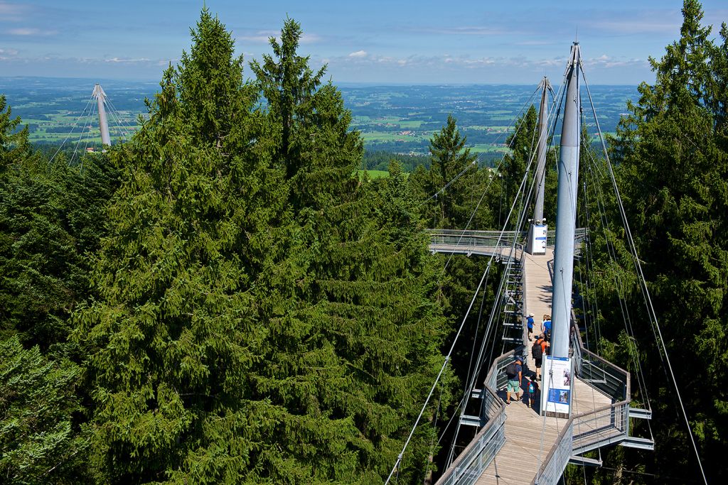 skywalk allgäu - Der Weg durch die Baumwipfel ist 540 Meter lang. - © skywalk allgäu gemeinnützige GmbH 