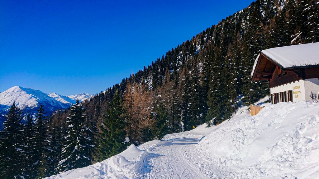 Speikbodenhütte - St. Veit in Defereggen - Nicht zu vergessen die Rodelbahn, die am Haus vorbei führt!  - © Speikbodenhütte