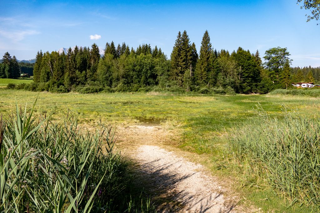 Tennsee bei Krün - Der Tennsee liegt auf 902 Metern Seehöhe. Bei unserem Besuch im Juli 2019 war aber von See nicht mehr viel zu sehen. - © alpintreff.de / christian Schön