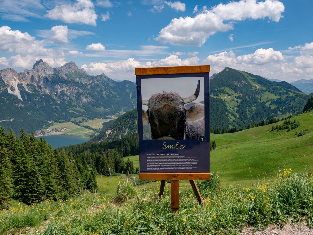 Themenweg - Auf dem Neunerköpfle gibt es einen Themenweg rund um Almbewohner. Für Jung und Alt ist hier Lehrreiches dabei. - © alpintreff.de / christian schön