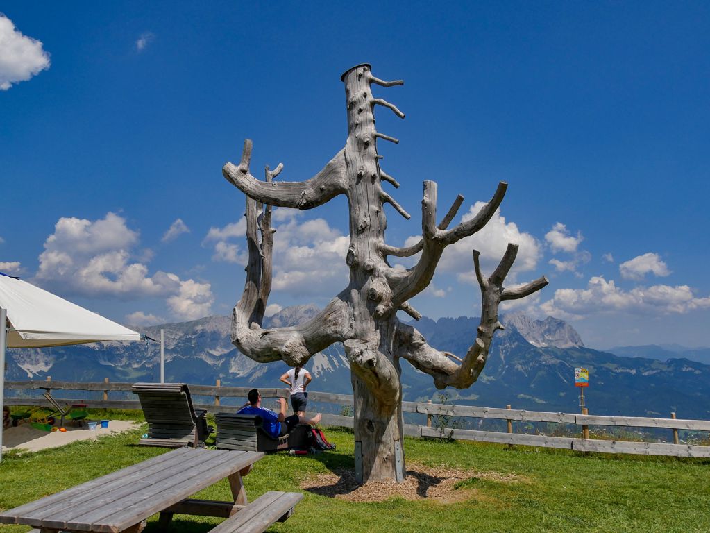 Trollbaum und dann der Abschied - Kurz noch ein schönes Foto von dem Trollbaum, auf den die Kinder auch mal klettern können, und dann gehts auch schon wieder ins Tal. - © alpintreff.de / christian schön