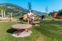 Der Spielplatz bietet eine herrliche Aussicht, angenehmen Schatten und sehr viel zu entdecken. • © TVB Mayrhofen, Thomas Eberharter Photography