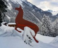 Abenteuer Lama - Es gibt verschiedene, auch mehrstündige Touren bei Barbara Steinacher zu buchen. • © Barbara Steinacher