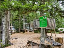 Sicher dabei - Dieser Niedrigseilgarten eignet sich für Kinder und Anfänger sehr gut.  • © alpintreff.de - Christian Schön