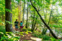 Wald und Wege - Du kannst in Velden beim Schiffsanleger loslaufen. Der eigentliche Startpunkt ist die Franzosenkirche, an der Du vorbeikommst.  • © Wörthersee Tourismus, Gert Perauer