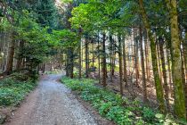 Die Führungen bringen Dich in unterirdische Räume, Gänge und Tunnel. Falls Du Dich mit Enge unter "unter Tage" nicht wohlfühlst, kannst Du oben bleiben - dort gibt es ebenfalls viel Spannendes zu entdecken.  • © Annett Ehrenreich