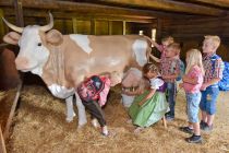 Eine Kuh... - ... allerdings nicht echt, aber in Lebensgröße. Für viele Kinder eine spannende Sache! • © Museum Tiroler Bauernhöfe