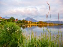 Hopfensee - Ein Grund, warum Reisen ins Allgäu so gut tun...  • © alpintreff.de - Christian Schön