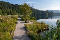 Romantische Bänke am Barmsee - Bei den romantischen Bänken am Barmsee führt der Weg direkt am See entlang • © alpintreff.de / christian Schön