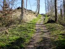 Burgruine Wolkenberg - Wildpoldsried - Der Aufgang zur Burgruine. • © Burgfreunde Wolkenberg e.V.