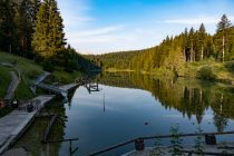 Groß ist er wirklich nicht. Aber er liegt sehr nett und von außen uneinsehbar im Wald. • © alpintreff.de / christian Schön