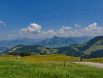 Blick zum Kitzbüheler Horn - Unverbauter Ausblick zum Kitzbüheler Horn sowie weiter zu den Leoganger und Saalfeldener Alpen • © alpintreff.de / christian schön