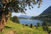 Was tun am Großen Alpsee? - Er bietet alle (Sport-) Möglichkeiten, die das Urlauberherz begehrt: schwimmen, segeln, surfen, kiten (sehr gute Windverhältnisse vor Ort) paddeln, Du kannst Tretboote und auch Ruderboote leihen, Minigolf spielen oder einfach nur dort liegen und die Sonne genießen. • © Alpsee Immenstadt Tourismus