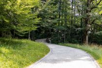 Schloss Linderhof - Wie gesagt - erst kommt der Fußweg. Der Eintritt in den Schlosspark ist übrigens frei. Kosten entstehen erst bei einer Führung durch das Schloss und beim Besuch der Venusgrotte. • © alpintreff.de / christian Schön