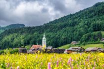 Der Ort Bezau liegt im Bregenzerwald. • © Michael Meusburger, Bregenzerwald Tourismus