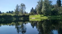 Der Moorweiher in Buchenberg.  • © Allgäuer Seenland