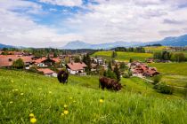 Ortsansicht von Obermaiselstein im schönen Allgäu.  • © Tourismus Hörnerdörfer, F. Kjer