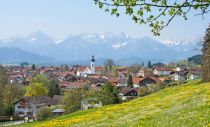 Rieden am Forggensee im Frühjahr.  • © Tourist-Information Honigdorf Seeg