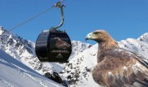 Die Adlergondel der Almbahn. • © Fisser Bergbahnen