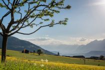 Wunderschöne Stimmung in Weerberg. • © TVB Silberregion Karwendel