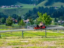 Allgäu Coaster am Söllereck in Oberstdorf • © skiwelt.de / christian schön