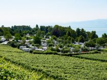 Campingplatz Alpenblick in Hagnau am Bodensee • © skiwelt.de / christian schön