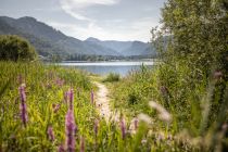 Herrliche Aussichten erwarten Dich auf dem Rundwanderweg um den Hintersee.  • © Fuschlseeregion, Groessinger