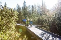 Barrierefrei unterwegs im schönen Piller Moor. • © TVB Tiroler Oberland Kaunertal, Daniel Zangerl