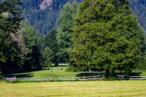 Entspannen auf dem Golfplatz Kitzbühel-Schwarzsee-Reith. • © skiwelt.de - Silke Schön