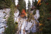 Die Wäldletobelschlucht in Klösterle. • © Alpenregion Bludenz Tourismus GmbH, Stefanie Peiker