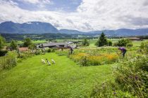 In Langkampfen ist wohl der größte Kräutergarten der Region zu finden. Eine Vielzahl an Kräutern, Pflanzen und Gemüse wächst hier an einem sonnigen Hang über dem Inntal Tirols. • © TVB Kufsteinerland, Hannes Dabernig