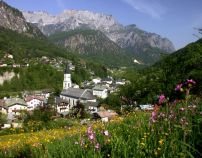 Das idyllische Marktschellenberg im Sommer.  • © Tourist-Information Marktschellenberg